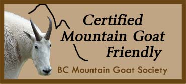 Mountain Goat Friendly